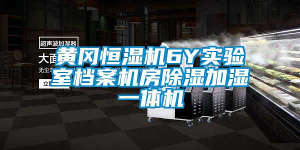 黃岡恒濕機(jī)6Y實驗室檔案機(jī)房除濕加濕一體機(jī)