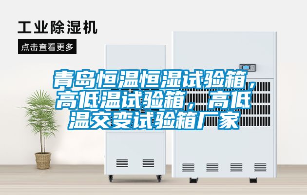 青島恒溫恒濕試驗箱，高低溫試驗箱，高低溫交變試驗箱廠家