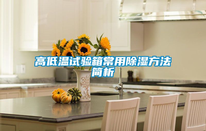 高低溫試驗(yàn)箱常用除濕方法簡析