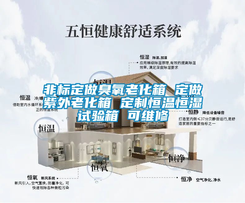 非標(biāo)定做臭氧老化箱 定做紫外老化箱 定制恒溫恒濕試驗(yàn)箱 可維修