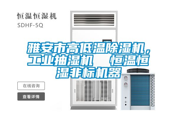 雅安市高低溫除濕機，工業抽濕機  恒溫恒濕非標機器