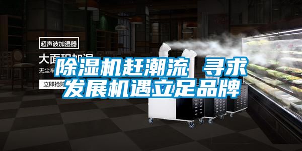除濕機趕潮流 尋求發展機遇立足品牌