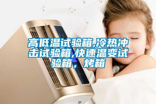 高低溫試驗(yàn)箱,冷熱沖擊試驗(yàn)箱,快速溫變?cè)囼?yàn)箱，烤箱