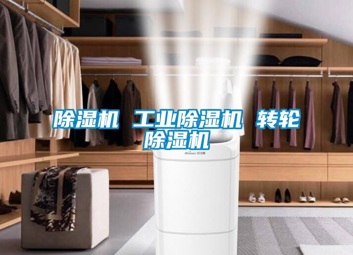 除濕機(jī) 工業(yè)除濕機(jī) 轉(zhuǎn)輪除濕機(jī)