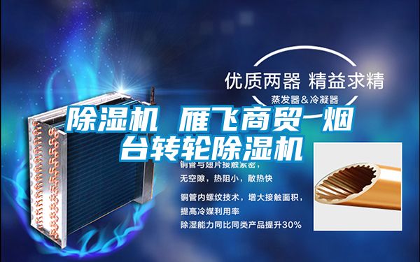 除濕機 雁飛商貿 煙臺轉輪除濕機