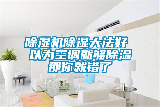 除濕機(jī)除濕大法好 以為空調(diào)就夠除濕那你就錯(cuò)了