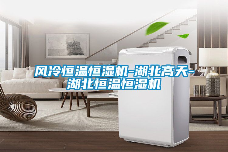 風冷恒溫恒濕機-湖北高天-湖北恒溫恒濕機