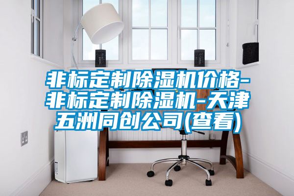 非標定制除濕機價格-非標定制除濕機-天津五洲同創(chuàng)公司(查看)