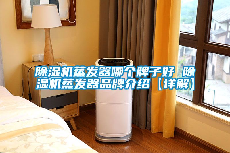 除濕機蒸發(fā)器哪個牌子好 除濕機蒸發(fā)器品牌介紹【詳解】