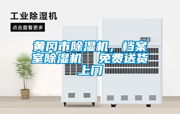 黃岡市除濕機，檔案室除濕機  免費送貨上門