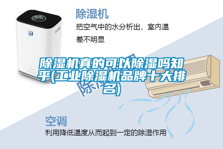 除濕機真的可以除濕嗎知乎(工業除濕機品牌十大排名)