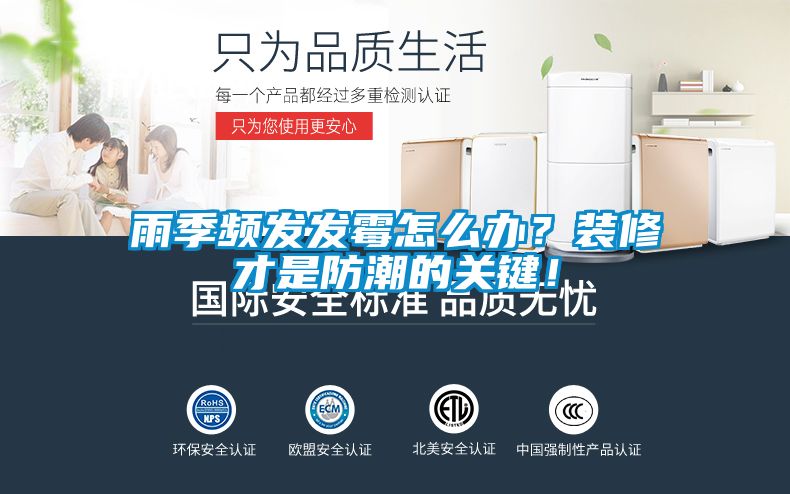 雨季頻發發霉怎么辦？裝修才是防潮的關鍵！