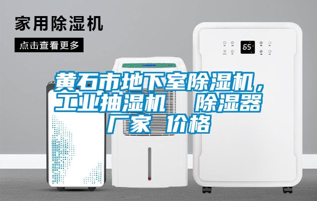 黃石市地下室除濕機，工業抽濕機  除濕器廠家 價格