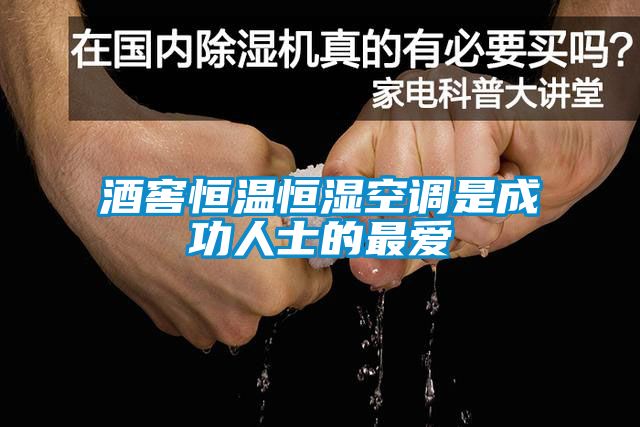 酒窖恒溫恒濕空調(diào)是成功人士的最愛