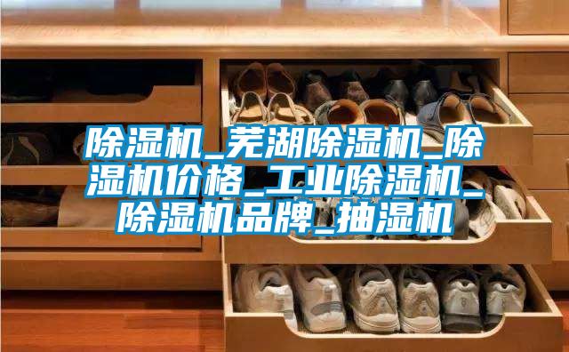 除濕機(jī)_蕪湖除濕機(jī)_除濕機(jī)價(jià)格_工業(yè)除濕機(jī)_除濕機(jī)品牌_抽濕機(jī)