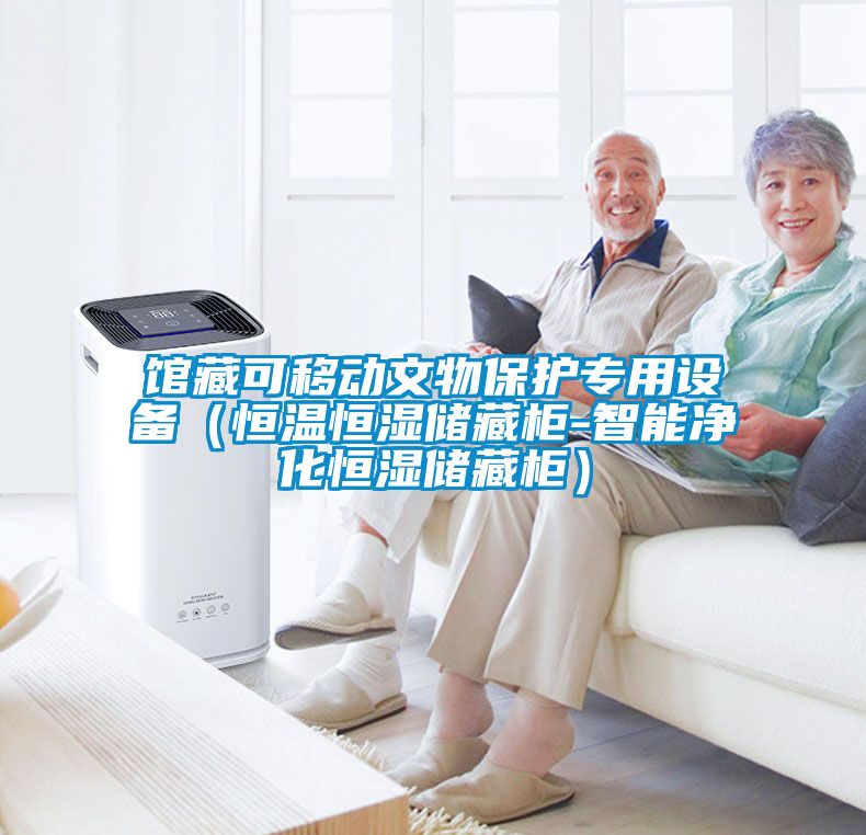 館藏可移動(dòng)文物保護(hù)專用設(shè)備（恒溫恒濕儲(chǔ)藏柜-智能凈化恒濕儲(chǔ)藏柜）