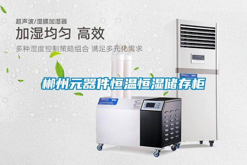 郴州元器件恒溫恒濕儲(chǔ)存柜