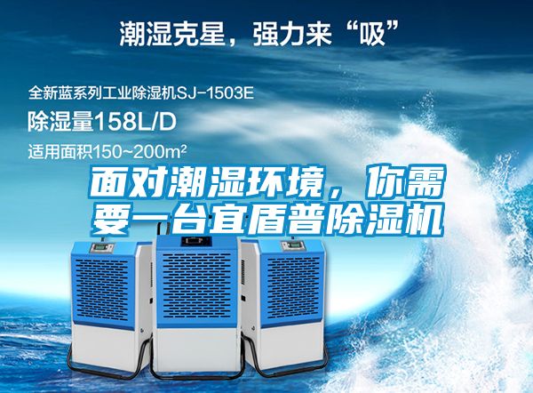 面對潮濕環境，你需要一臺宜盾普除濕機