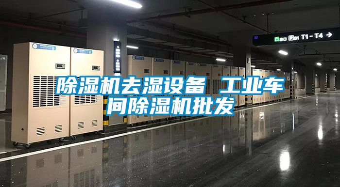 除濕機去濕設備 工業(yè)車間除濕機批發(fā)