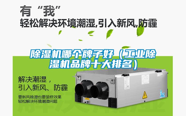 除濕機(jī)哪個(gè)牌子好（工業(yè)除濕機(jī)品牌十大排名）