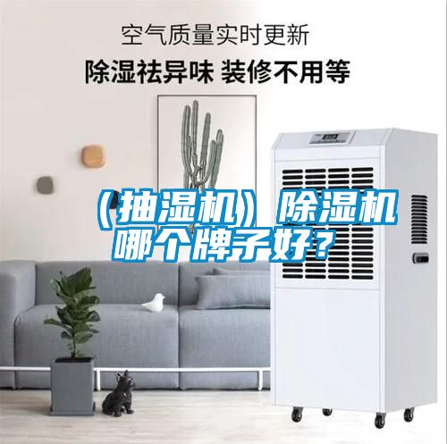 （抽濕機）除濕機哪個牌子好？