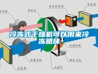 行業(yè)新聞冷凍式干燥機(jī)可以用來(lái)冷凍臘味