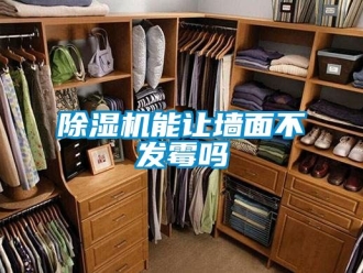 行業新聞除濕機能讓墻面不發霉嗎