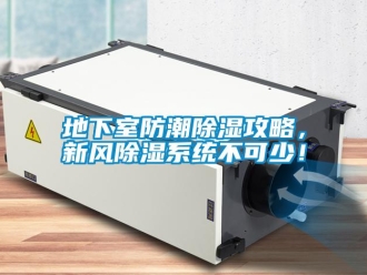 企業新聞地下室防潮除濕攻略，新風除濕系統不可少！