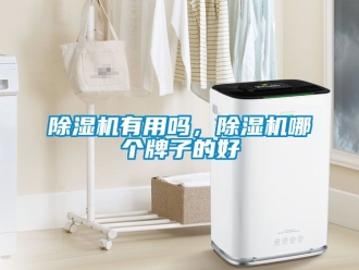 行業(yè)新聞除濕機有用嗎，除濕機哪個牌子的好
