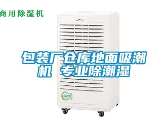 常見問(wèn)題包裝廠倉(cāng)庫(kù)地面吸潮機(jī) 專業(yè)除潮濕