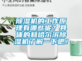 企業(yè)新聞除濕機(jī)的工作原理有哪些呢？具體的和哈爾濱除濕機(jī)了解一下吧！