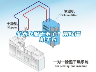企業新聞冬天衣服干不了？用除濕機干衣