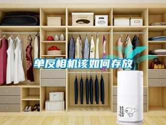 常見問題單反相機(jī)該如何存放