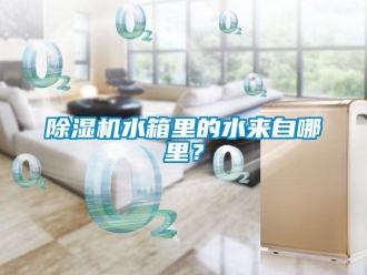 行業(yè)新聞除濕機水箱里的水來自哪里？