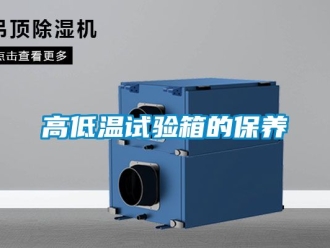 常見問題高低溫試驗箱的保養