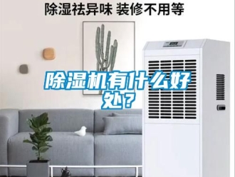 行業新聞除濕機有什么好處？