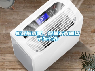 常見問題初夏梅雨季，柯基不肯睡墊子怎么辦