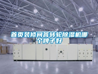 常見問題首頁裝修問答轉(zhuǎn)輪除濕機哪個牌子好