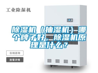 企業(yè)新聞除濕機(jī)（抽濕機(jī)）哪個(gè)牌子好，除濕機(jī)原理是什么？