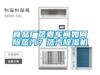 企業新聞食品廠蒸煮車間如何除蒸汽？蒸汽除濕機