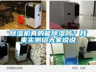 行業(yè)新聞除濕機真的能除濕嗎？我來實測給大家說說