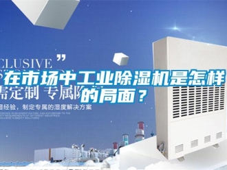 常見問題在市場(chǎng)中工業(yè)除濕機(jī)是怎樣的局面？