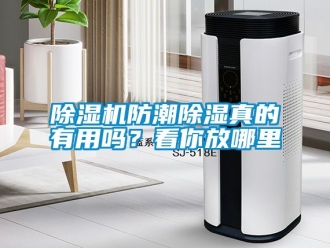 行業新聞除濕機防潮除濕真的有用嗎？看你放哪里