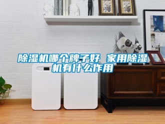常見問題除濕機(jī)哪個(gè)牌子好 家用除濕機(jī)有什么作用