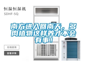 行業(yè)新聞南方進(jìn)入回南天，多肉植物這樣養(yǎng)才不會有事！