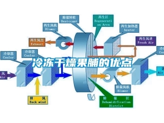 行業(yè)新聞冷凍干燥果脯的優(yōu)點(diǎn)