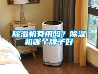 行業(yè)新聞除濕機有用嗎？除濕機哪個牌子好