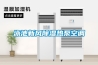 泳池新風除濕熱泵空調
