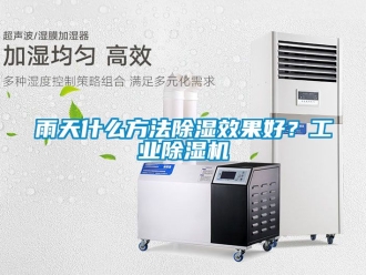 常見問題雨天什么方法除濕效果好？工業除濕機