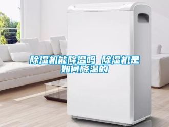 行業新聞除濕機能降溫嗎 除濕機是如何降溫的
